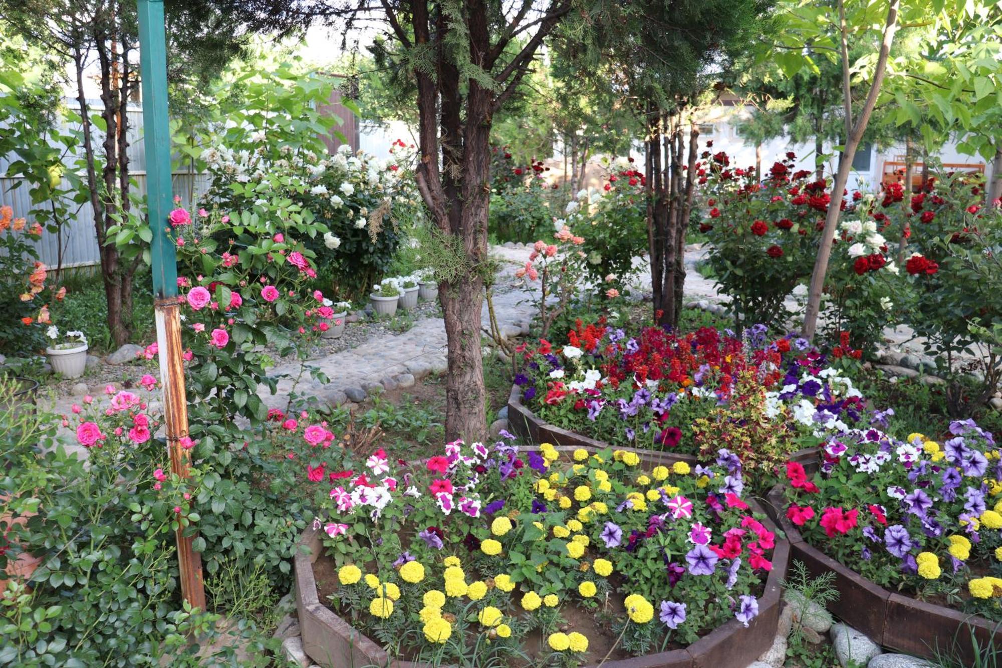 Happy Nomads Yurts & Hostel Karakol Exteriér fotografie