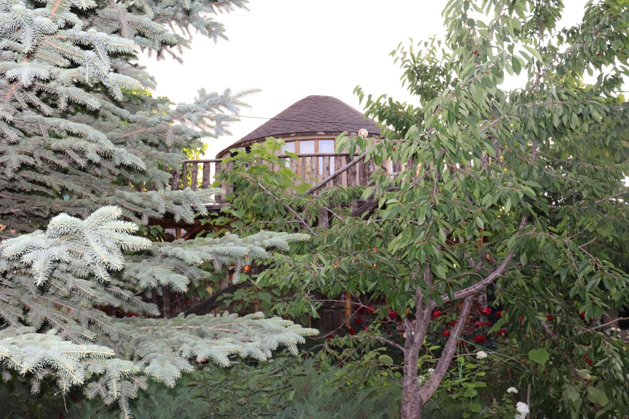 Happy Nomads Yurts & Hostel Karakol Exteriér fotografie