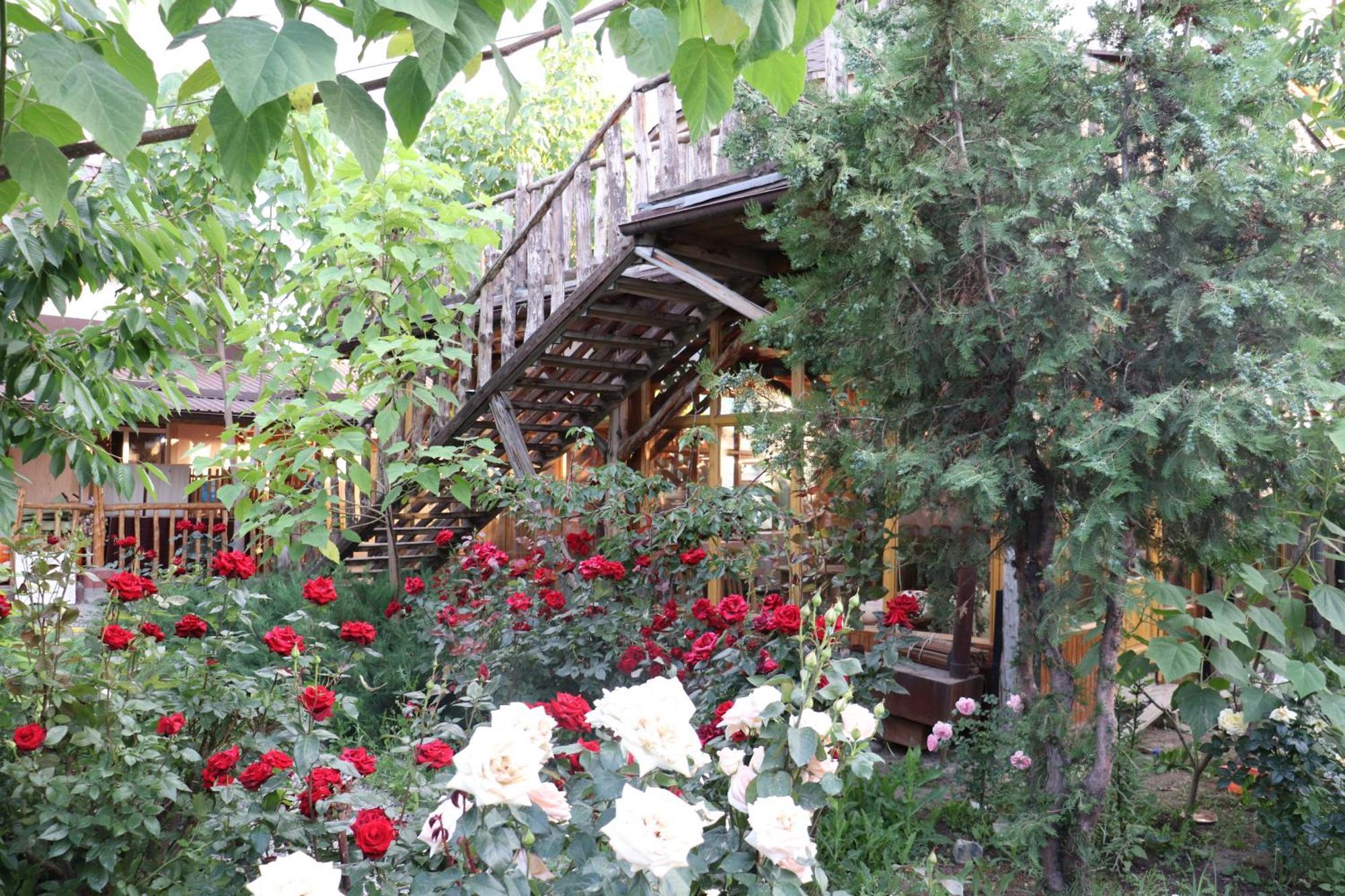 Happy Nomads Yurts & Hostel Karakol Exteriér fotografie