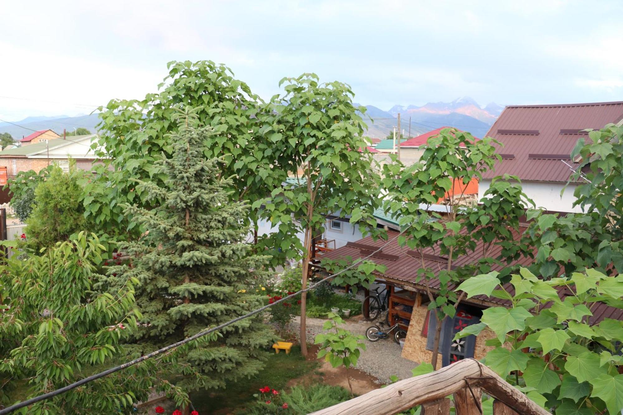 Happy Nomads Yurts & Hostel Karakol Exteriér fotografie