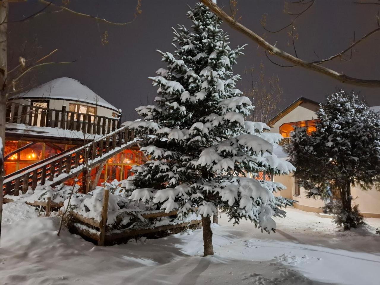 Happy Nomads Yurts & Hostel Karakol Exteriér fotografie